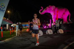 BIB: 
                            <button type="button" onclick="openModal(26552149)" class="btn btn-primary btn-sm float-right btn-popup" data-toggle="modal" data-target=".modal-high-quality">
                        <i class="fas fa-shopping-cart"></i> Add to Cart
                    </button>
                                            <button type="button" onclick="isThisMe(26552149, true)" class="btn btn-success btn-sm float-right btn-popup btn-isme hidden" data-toggle="tooltip" data-placement="bottom" title="นี่คือรูปของคุณใช่ไหม คลิกที่นี่เพื่อเอาเข้าอัลบั้ม">
                        <i class="fas fa-plus"></i> Add to album
                    </button>
                    <button type="button" onclick="isThisMe(26552149, false)" class="btn btn-warning btn-sm float-right btn-popup btn-isnotme hidden">
                        <i class="fas fa-ban"></i> Remove from album
                    </button>